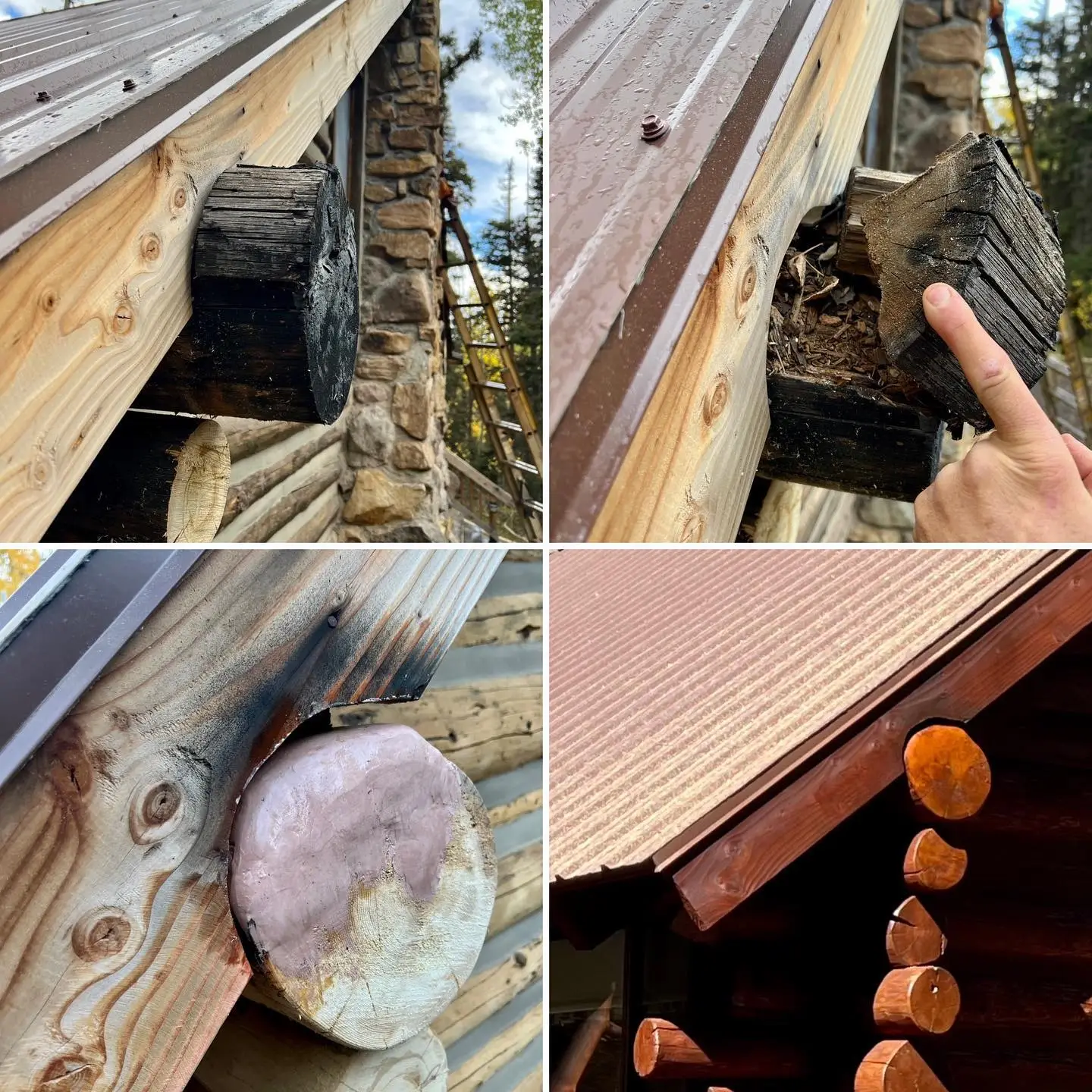 Log home repair with rot removal, Dutchman patch, check sealing, and species-matched log replacement