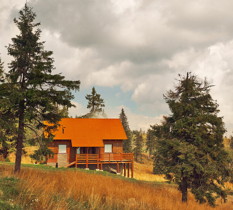 MOUNTAIN_CABIN_RESTORATION_MAINTAINANCE_IMAGE_BY_PENCILLOGPROS.COM