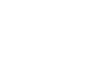 Pencil Log Pros Logo