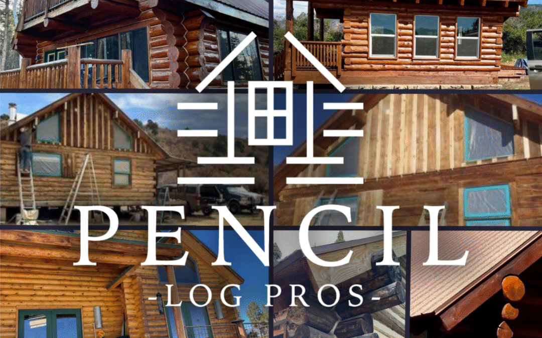 Pencil Log Pros – Spotlight Review in News Wire Magazine!